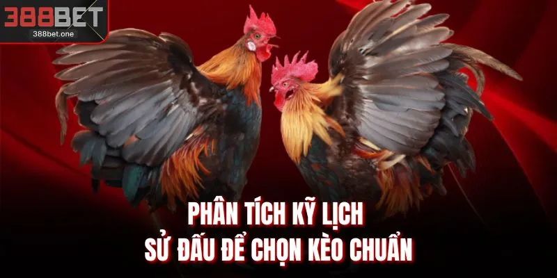 Phân tích kỹ lịch sử đấu để chọn kèo chuẩn
